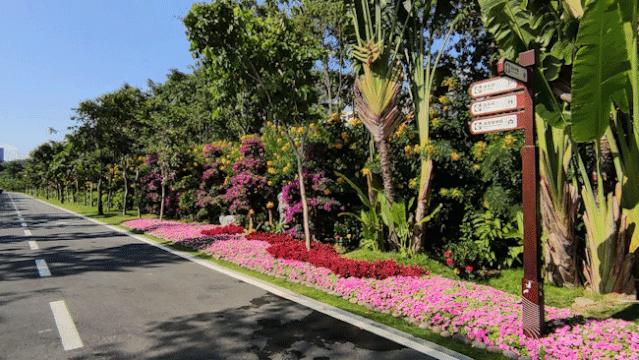 珠海买房过冬真实感受,在珠海买房十大秘诀