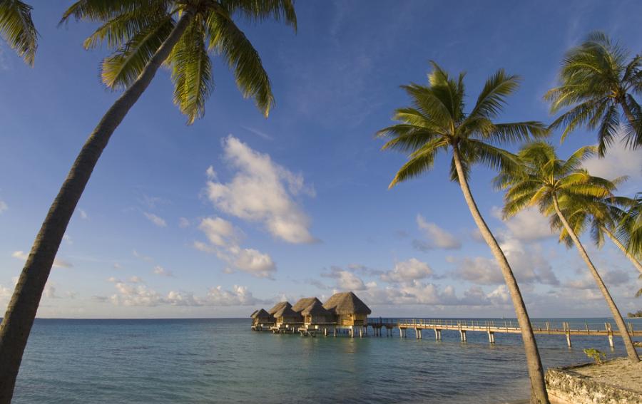 中国下一个香港发展趋势,中国香港第一大海港