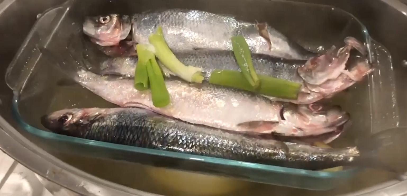 十年前,我只带了一根鱼竿出门,吃遍了世界上的各种顶级海鲜