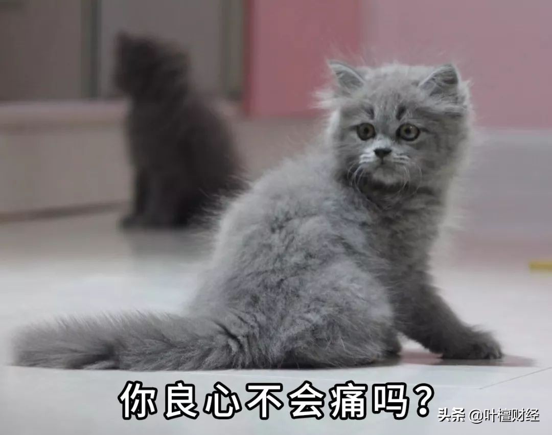 霸气回怼第三者,怒怼第三方催债