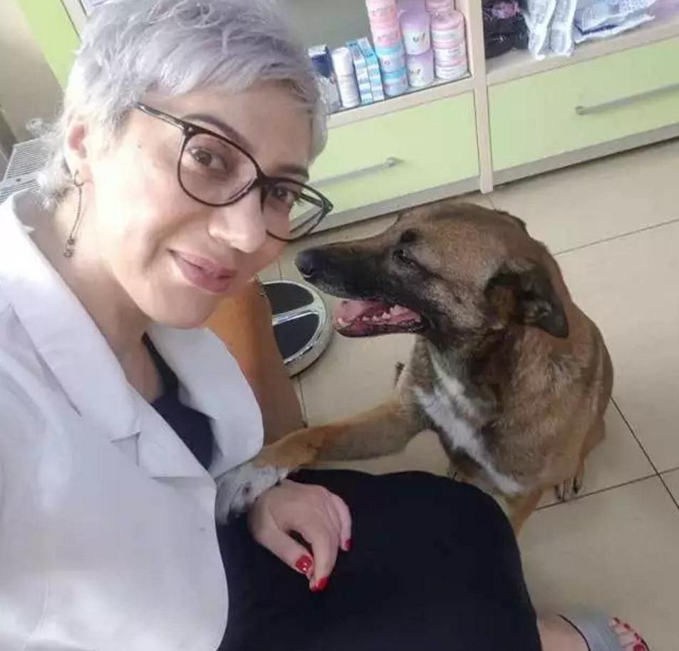 狗狗必须要赔医药费吗,狗狗生病了无法承担医药费怎么办