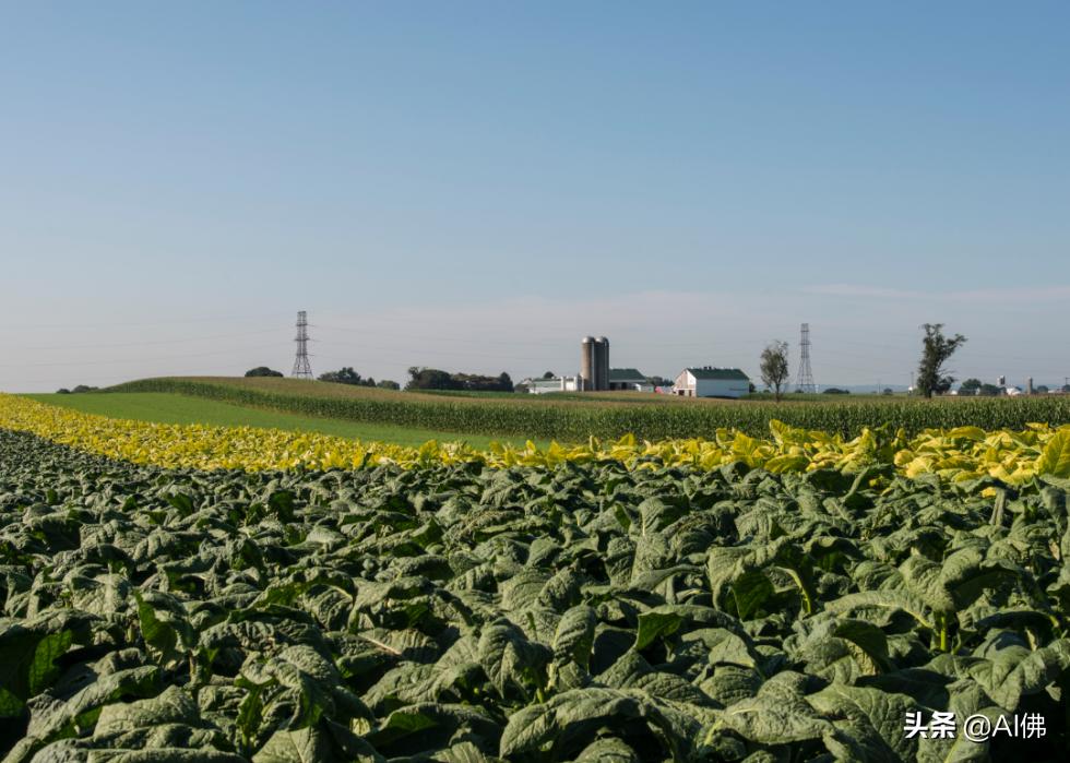 美国各州最富有的镇,美国所有城市最富的是哪个城市