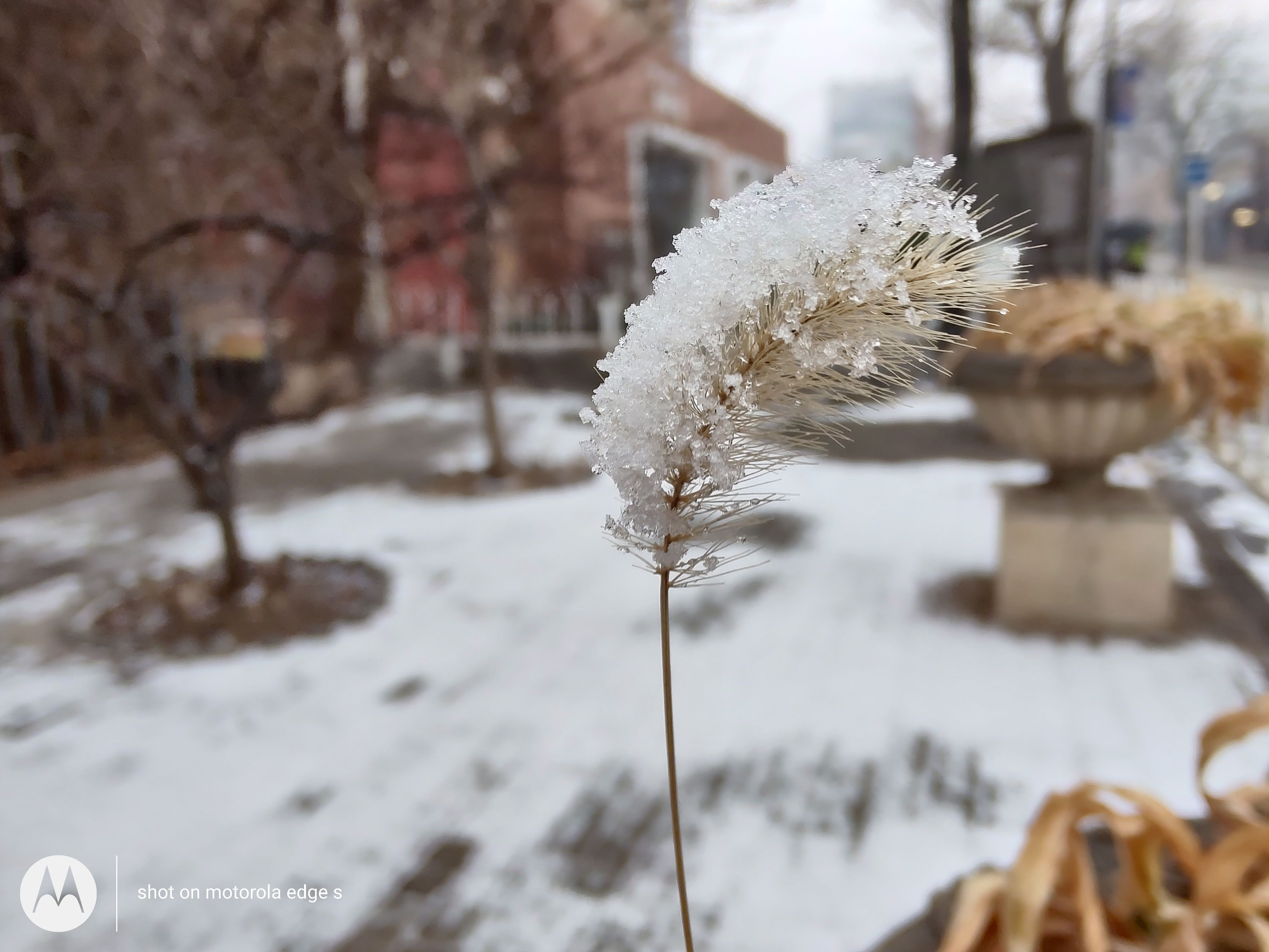 motorolaedges2022,motorolaedges30屏幕评测