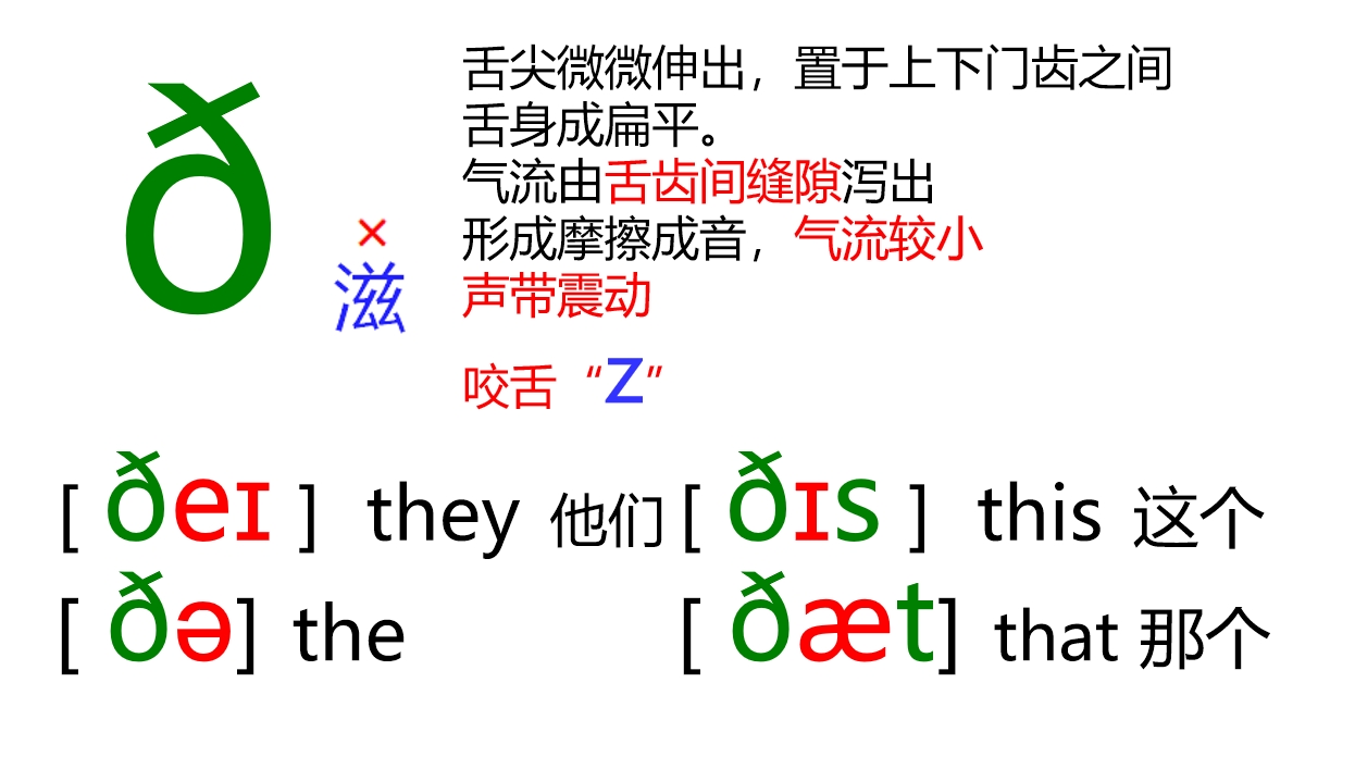 48个音标全套卡片作用,英语音标卡片48个正确发音嘴型