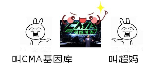 刚官宣中文名就引发众人热议，网友们玩起了起名大赛