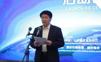 寿光菜篮子果蔬,寿光粤港澳大湾区蔬菜