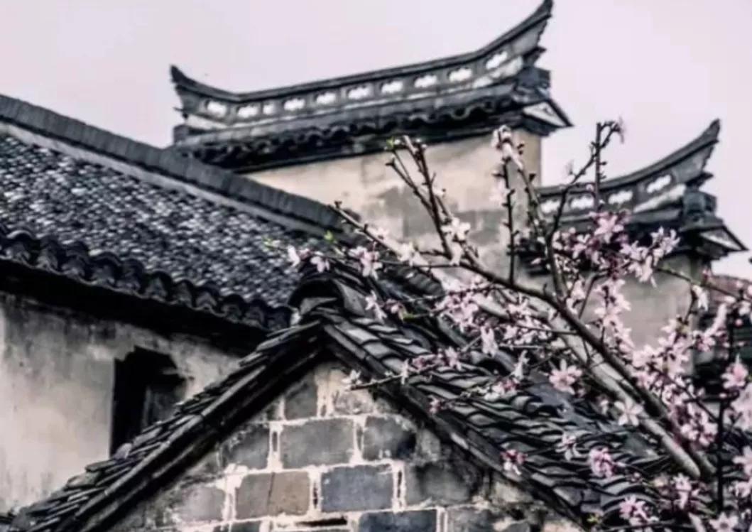 百千桑梓地,百千桑梓地浙江天台