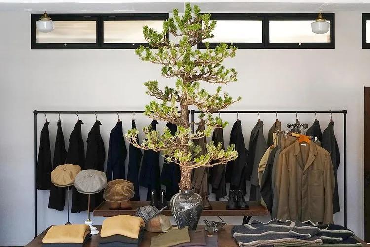 清淡复古风,清淡的复古风