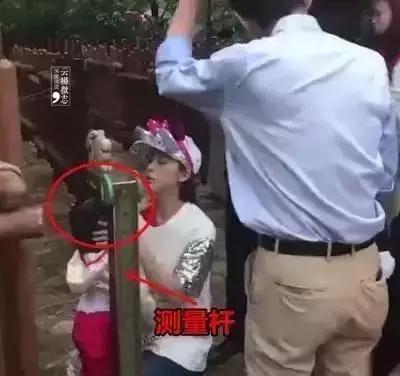 充气城堡吃人事件,充气堡儿童乐园为什么不能玩