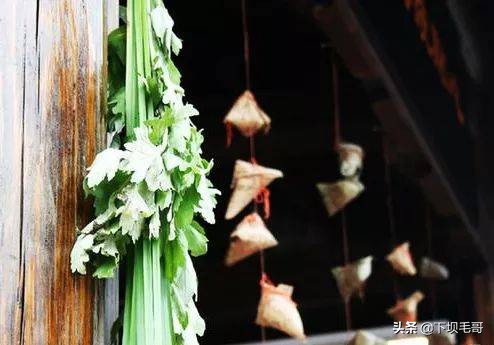 常见却容易忽视的植物,我想看什么植物能治头疼