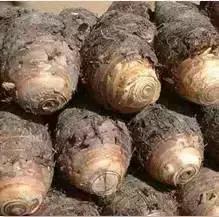 青岛西海岸30多项特产!这鱼还登上央视成了网红