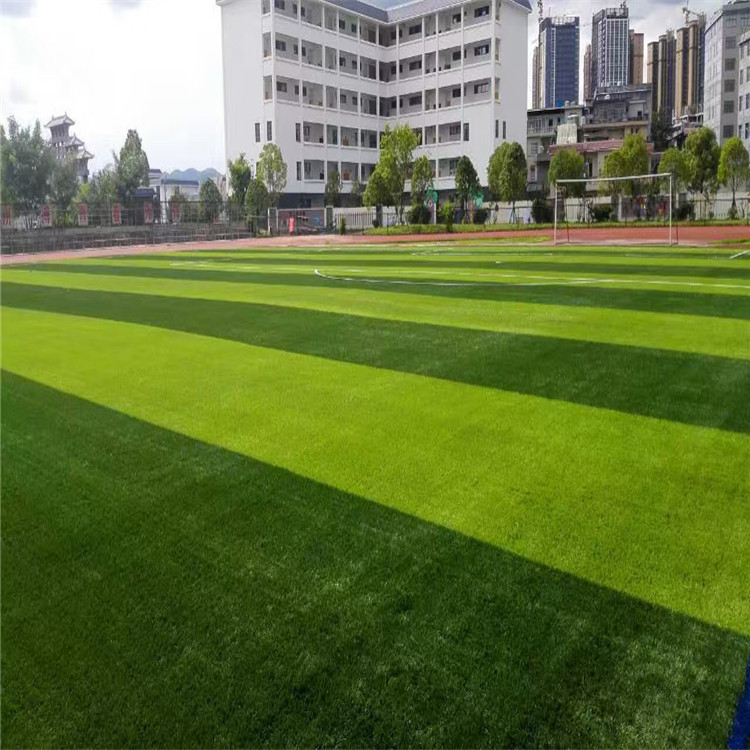 足球场铺人造草坪多少钱一平方,家用足球场人造草坪多少钱一平