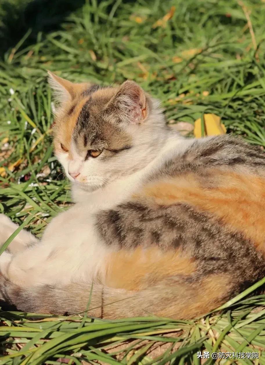 防灾“治疗术”，治愈不开心！