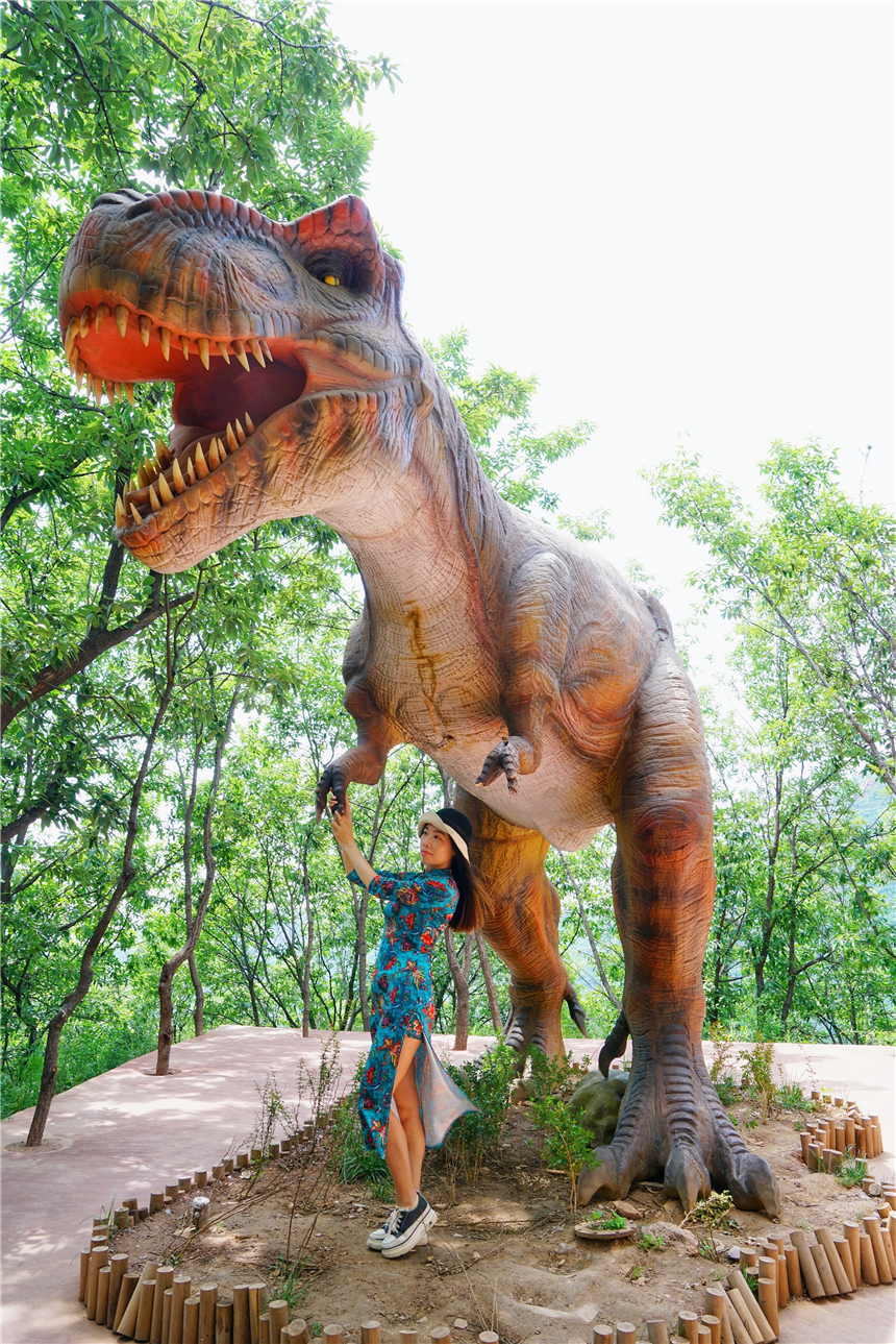 初夏河南,找寻童心,邂逅伏羲山的斜阳,一颗心萌化在云上牧场