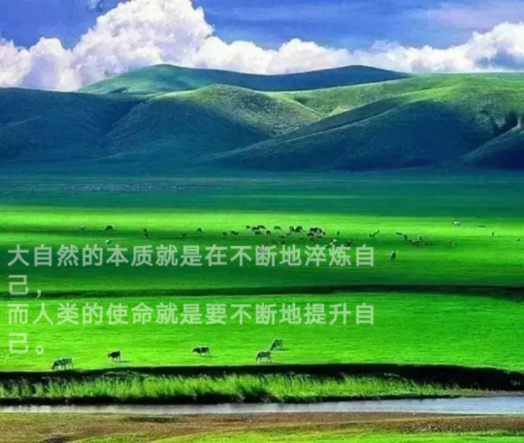 全民聚焦2018全国高考,为什么要聚焦高考