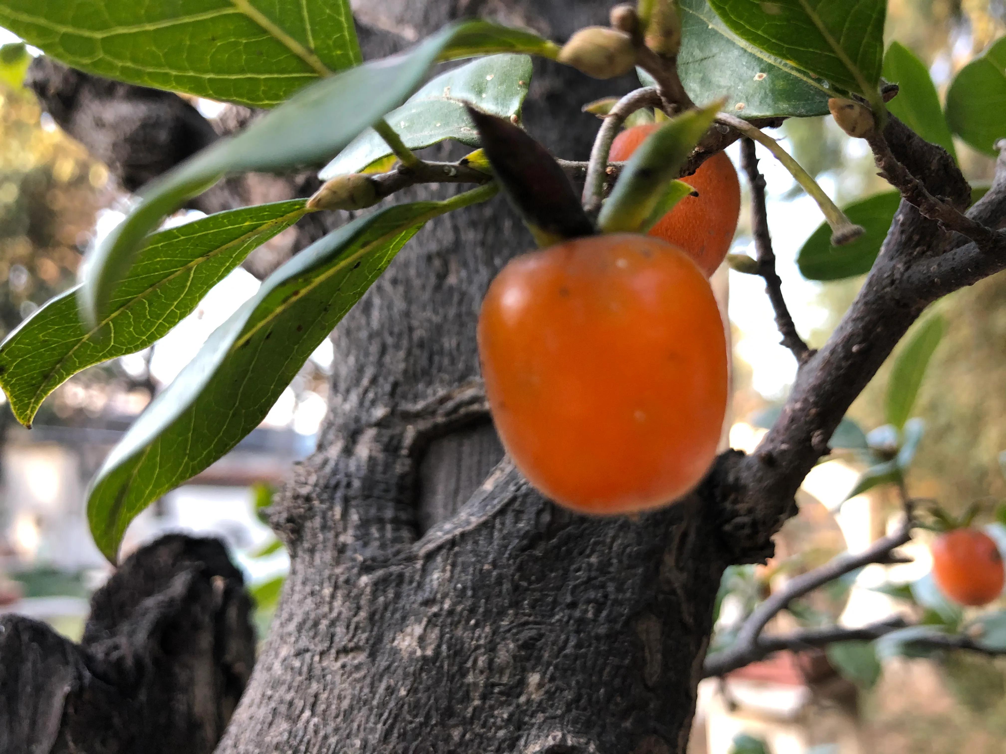 平顶山河滨公园旅游攻略,平顶山森林公园游记