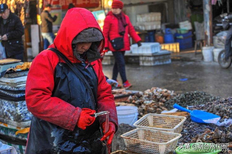 烟台莱阳海鲜早市,烟台老红利市场早市