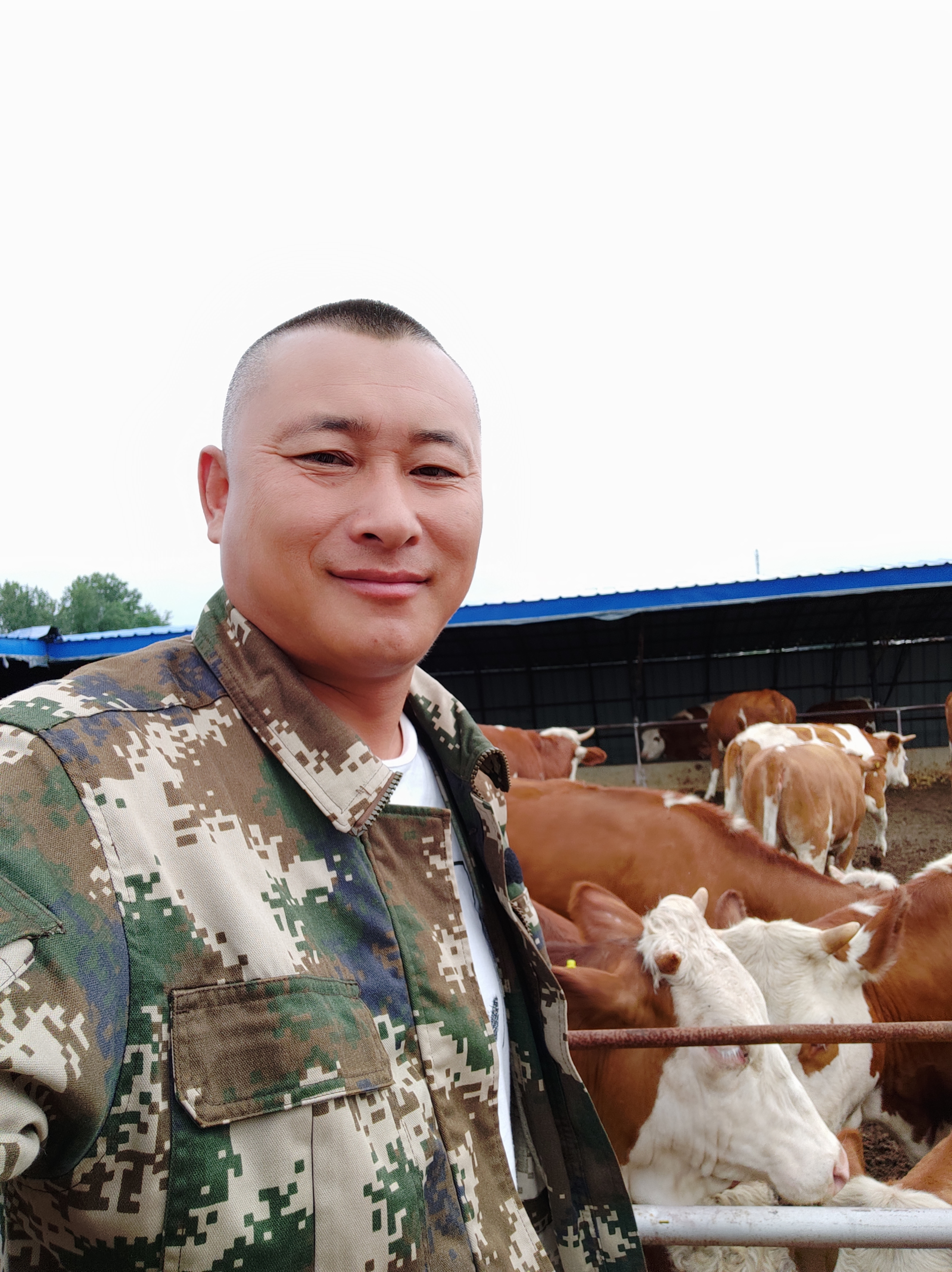 冬天养牛最怕什么牛,东北冬天养牛保温