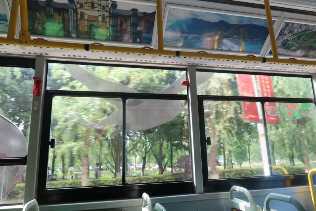 鏄嗘槑瑗垮北鍖鸿彍甯傚満,鏄嗘槑瑗垮北鍖烘槬澶忕鍐彍甯傚満