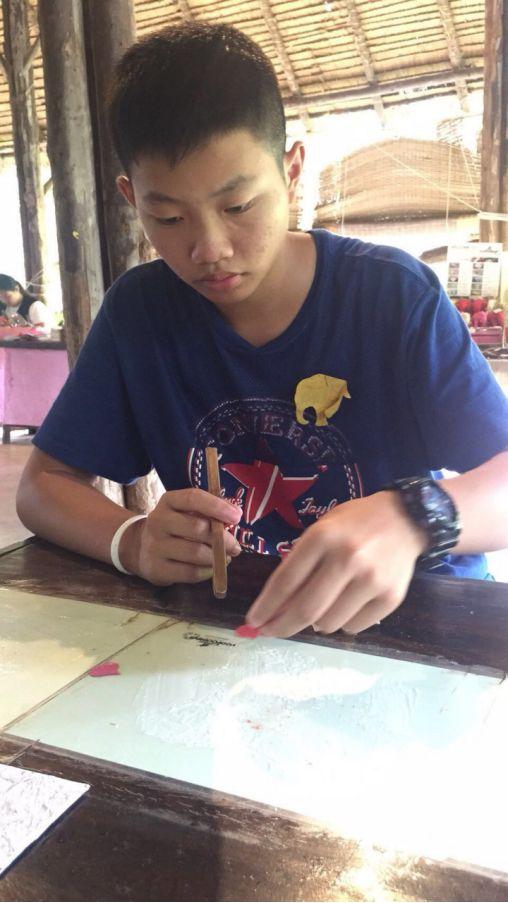 清迈大象义工,清迈大象救助营