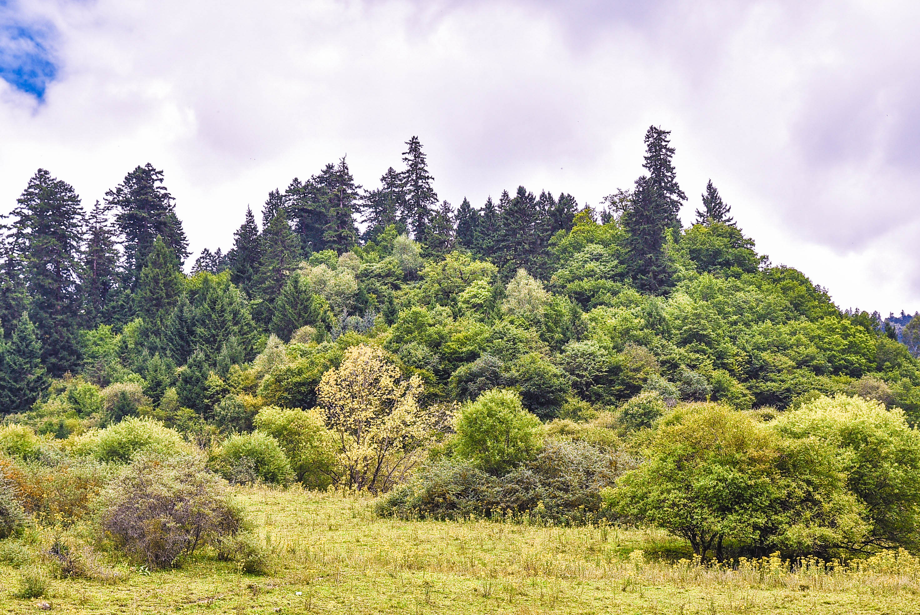 秋天九寨沟最美的季节,秋天九寨沟美景图片