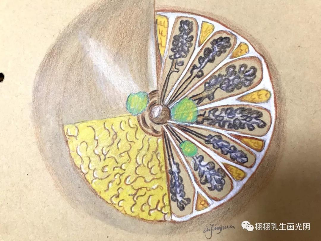 乳腺囊肿是什么意思严重吗,乳腺囊肿的由来