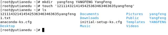 「誉天红帽入门指南」第四期：系统的基本操作命令