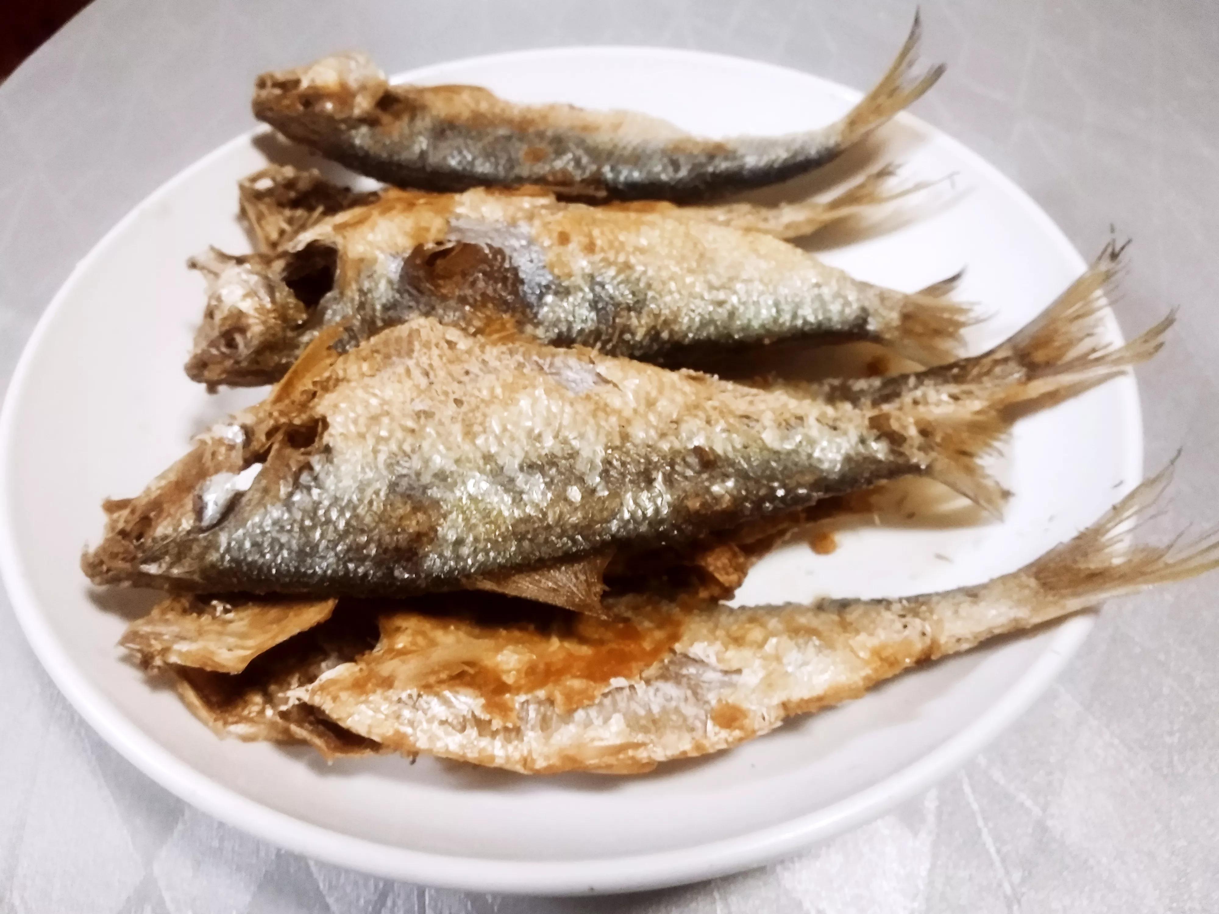 开海了吃什么美食,海边人常吃的40种海鱼