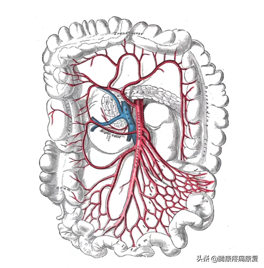 肠系膜上动脉综合征治疗,肠系膜上动脉综合征ct表现