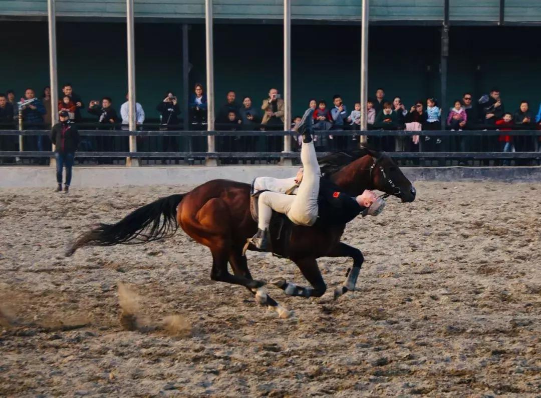 给你11个“十一”来*疆新**的理由