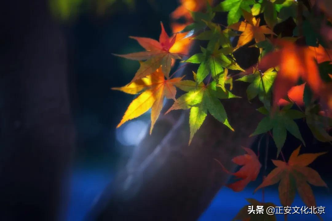 秋乏气虚怎么治,秋乏气虚有什么说法吗