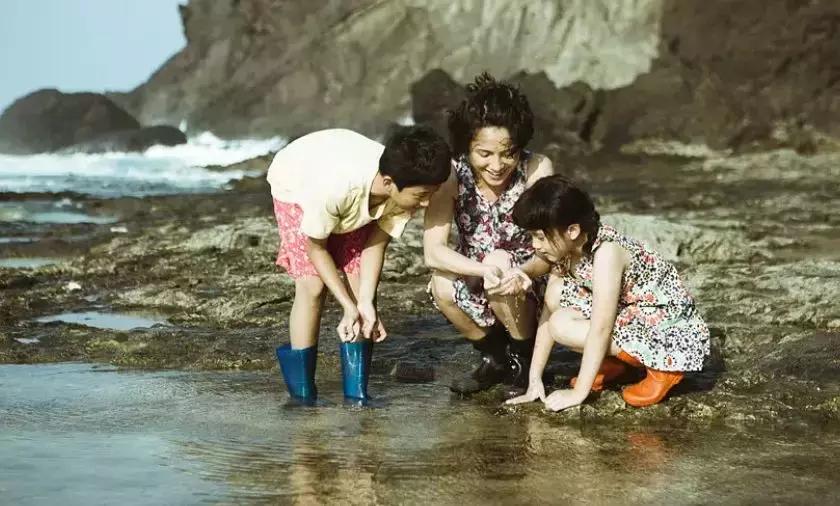 产生危机的原因有哪些,家庭危机防范指南