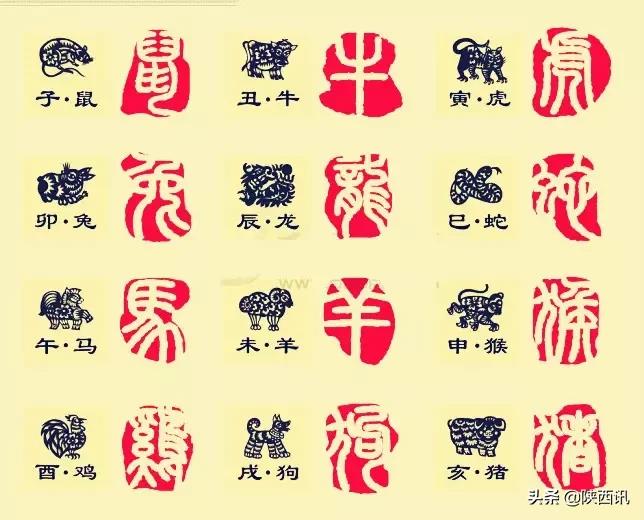 印章知识大全讲的太好了,印章知识大全