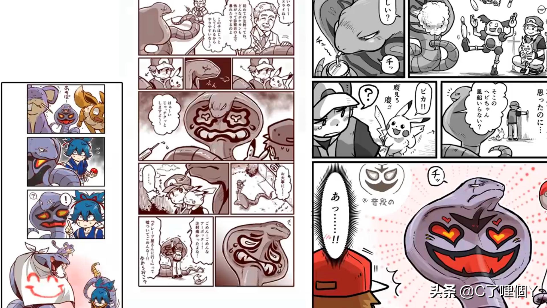 阿柏怪9种形态,阿柏怪的图案变化