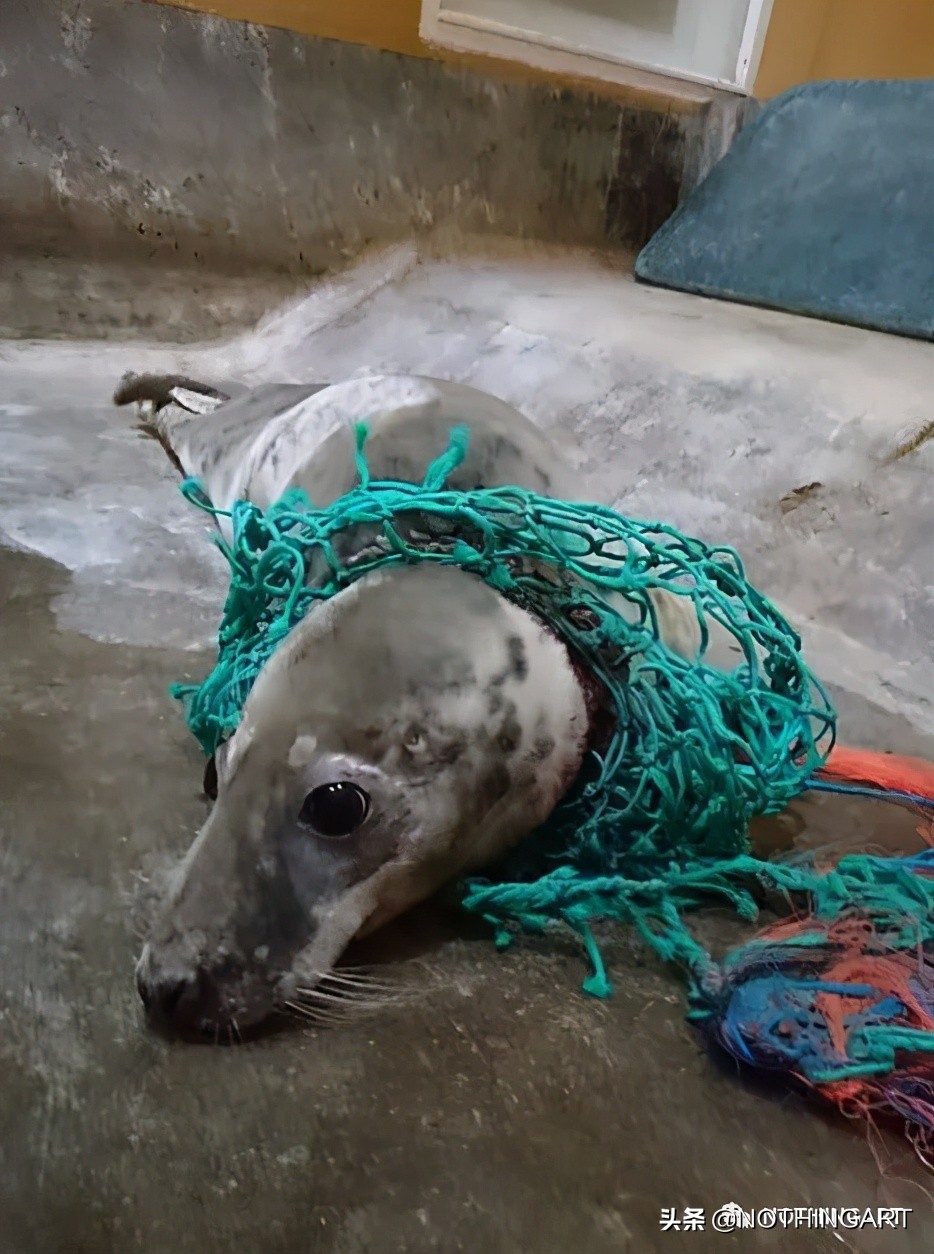 给明星做造型的“垃圾”行为艺术家?雷人背后的那一份深刻……