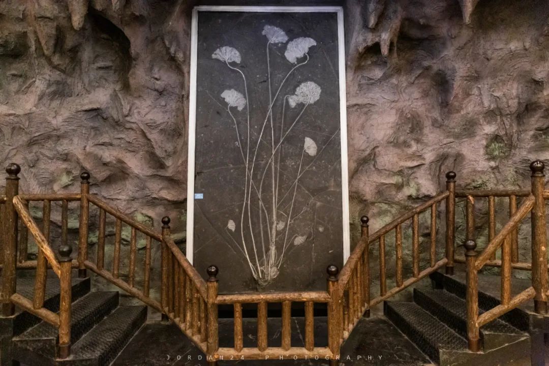 綦江城区游,重庆綦江区旅游