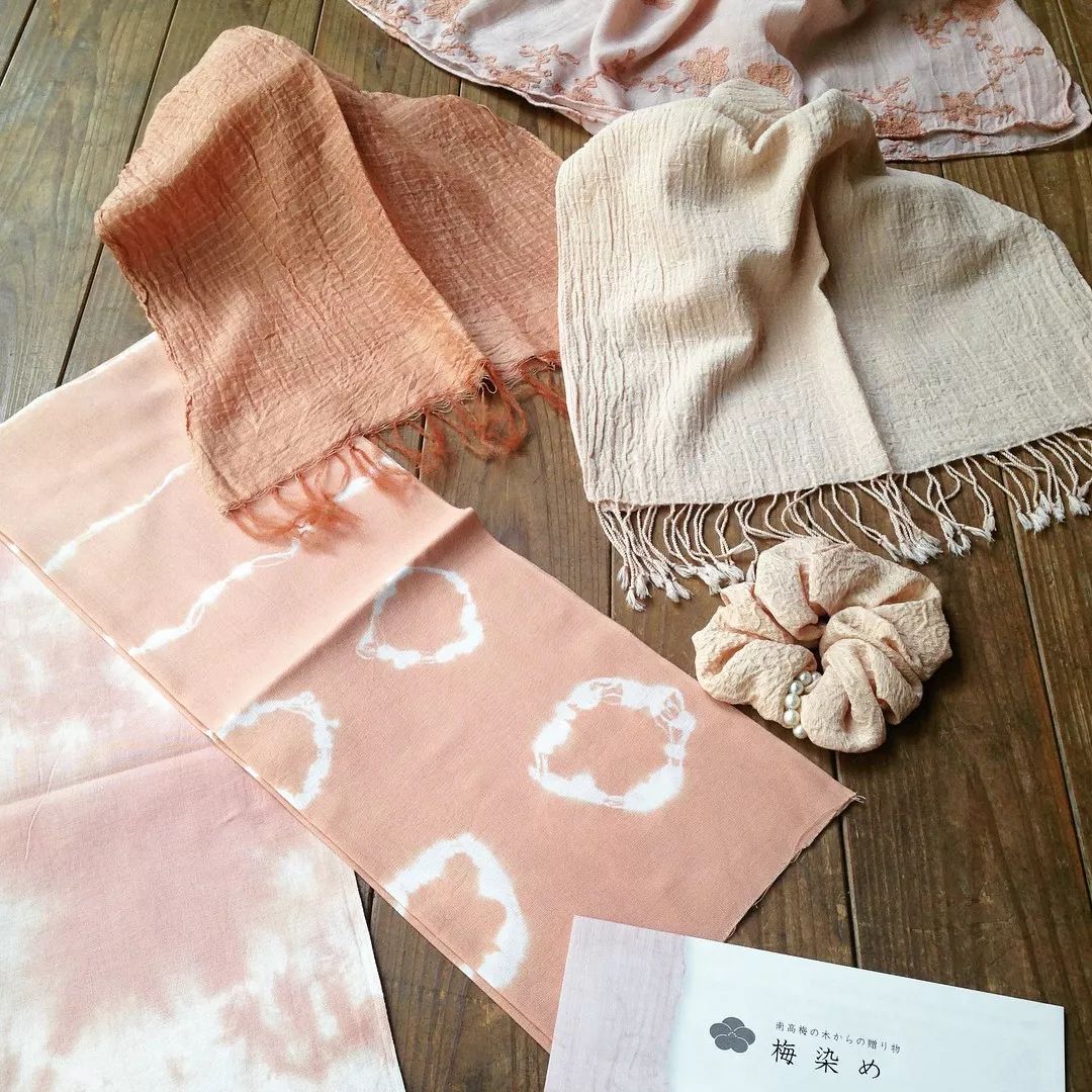 日本这个村种梅子每户年收16万，还种出了“世界文化遗产”