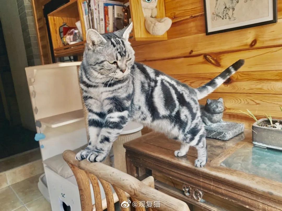 大家期盼的真实事件,掉缸事件怎么处理