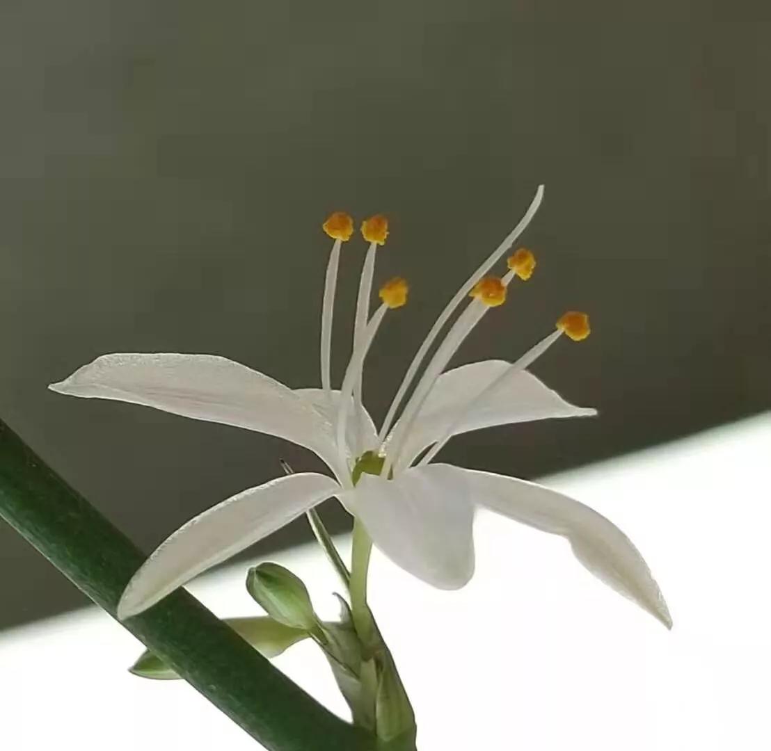 手拍世界完整版视频,手拍世界作品专集