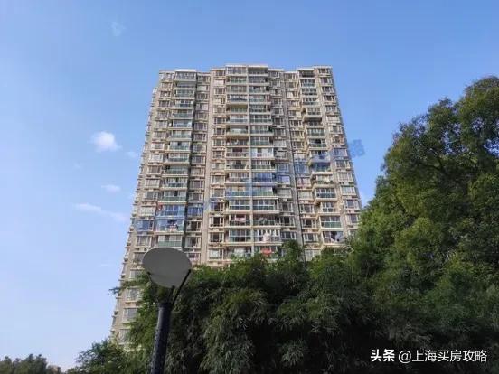 二梯队学校怎么样,二师附小梯队