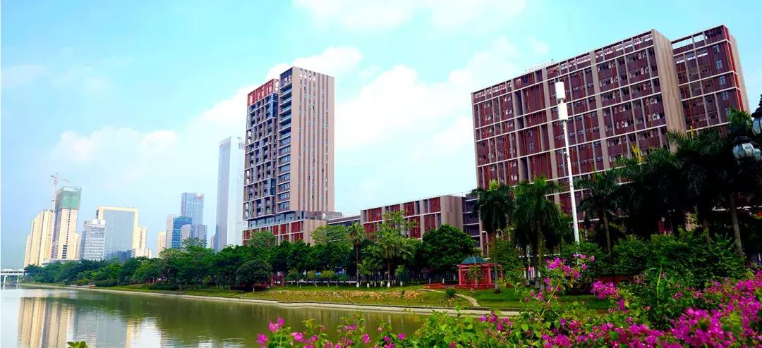 德胜学校国际部,德胜学校国际部有没有免费班