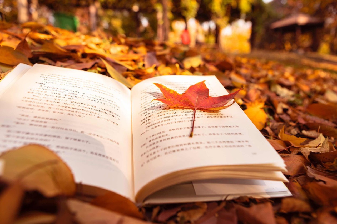 孔网买书能砍价吗,孔网买到的书