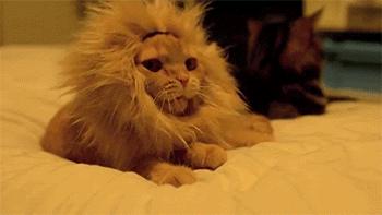 感觉到无趣,觉得无趣很正常