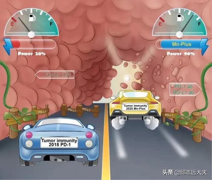 中国免疫学科学家,免疫学领域学者排名