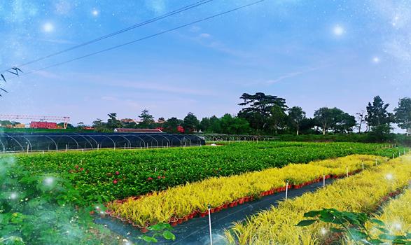 信“全能神”使我把男友当邪灵