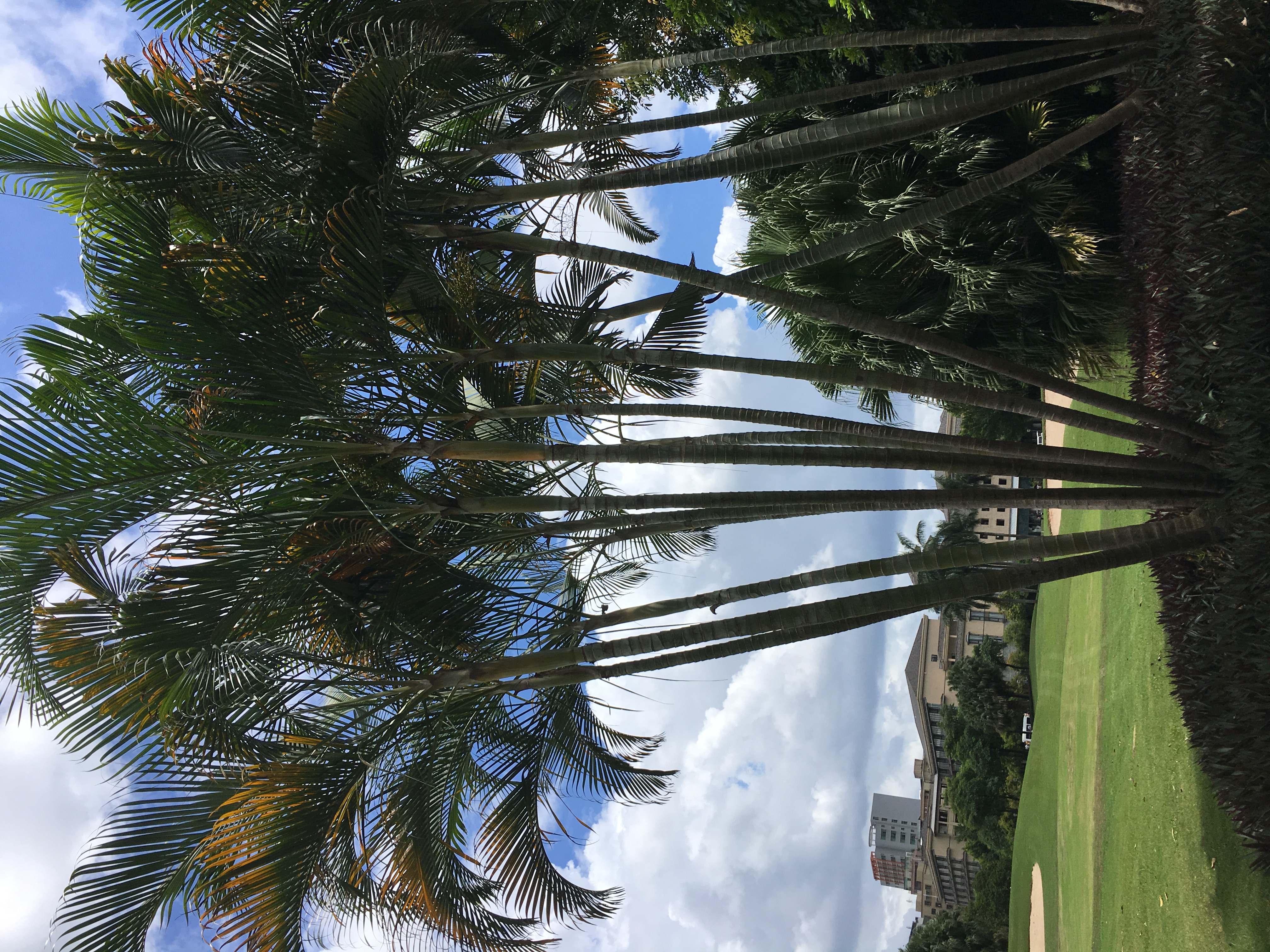 网贷申请的技巧视频,比较好申请的网贷渠道