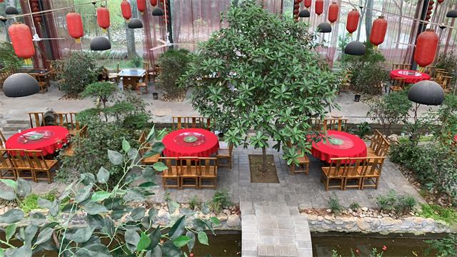 钓钓鱼，喝喝茶，聊聊人生，才是生活，西安市蓝田蓬莱渔村生态园