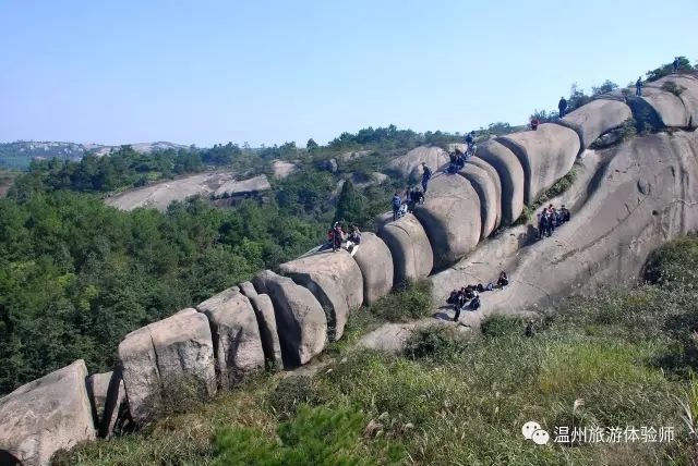茶山寻幽处全文,茶山美景如仙境