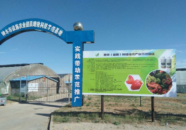 酵素富硒农业,富硒酵素技术