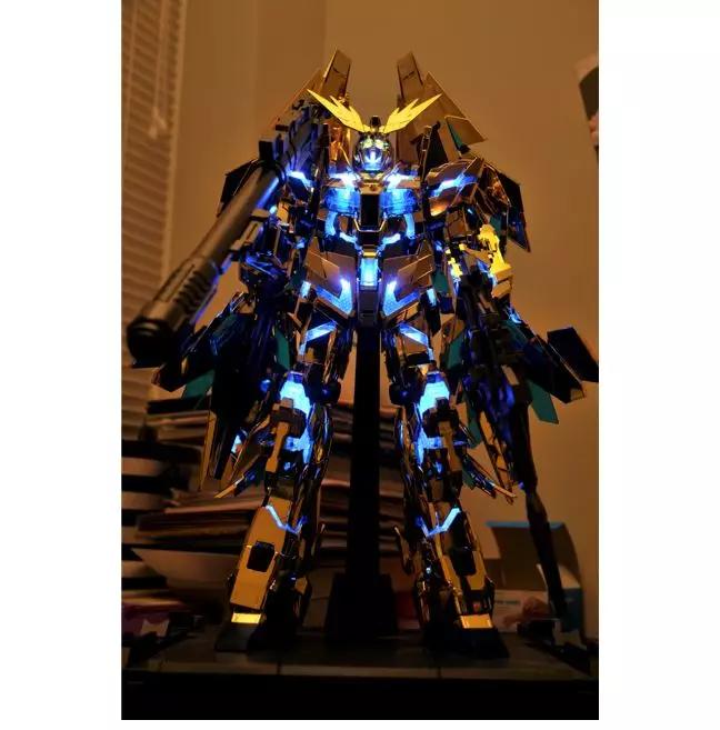 玩家加灯之路,玩家的成长道路